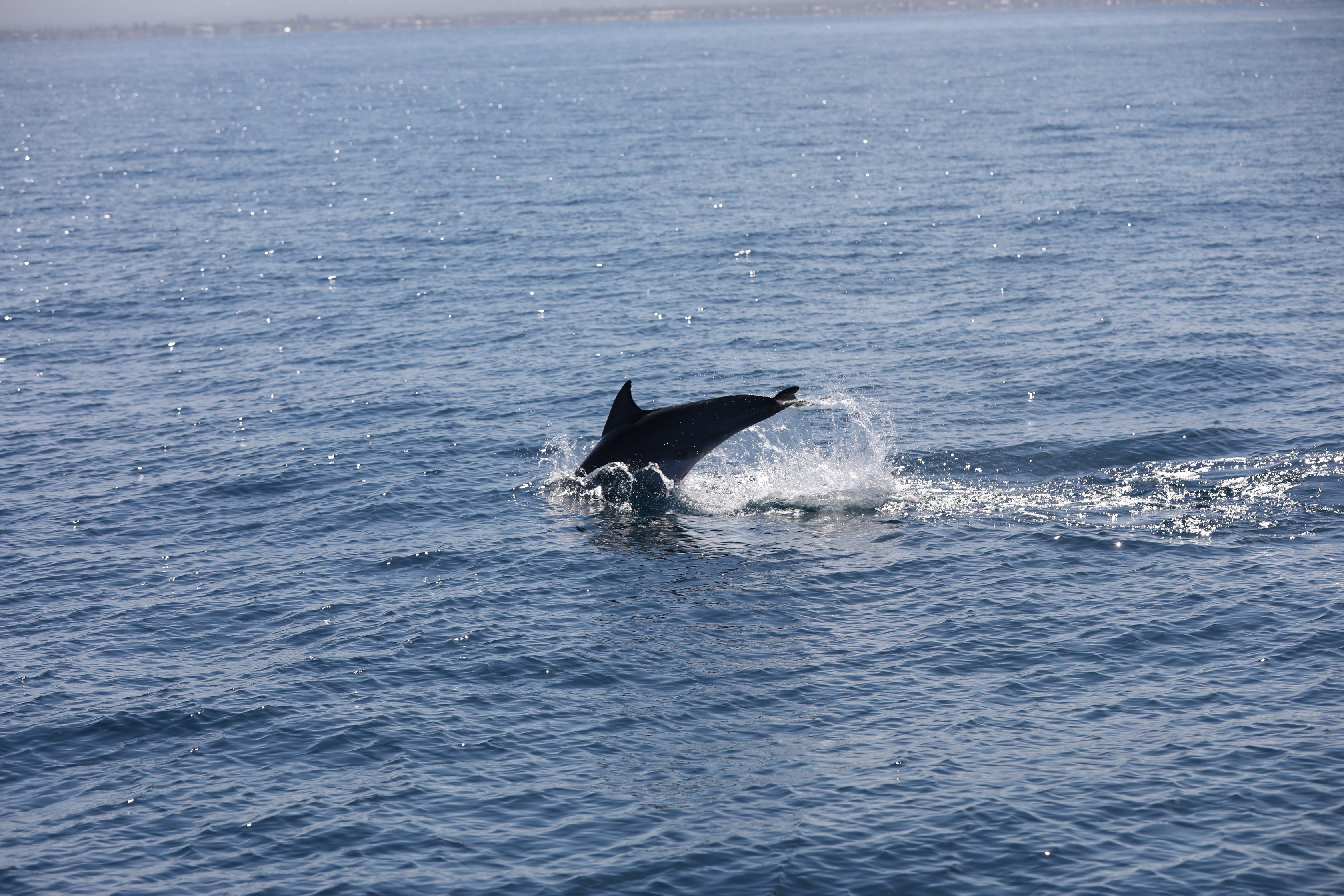 2019 12 07 09 44 49 Canon EOS 5D Mark IV 0024